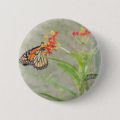 Monarch Butterfly en Caterstyle Ronde Button 5,7 Cm (Voorkant)