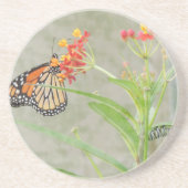 Monarch Butterfly en Caterstyle Zandsteen Onderzetter (Voorkant)