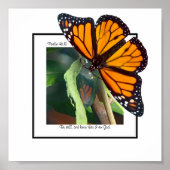 Monarch Butterfly en Chrysalis Art Poster (Voorkant)