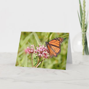 Monarch Butterfly en vriend Kaart