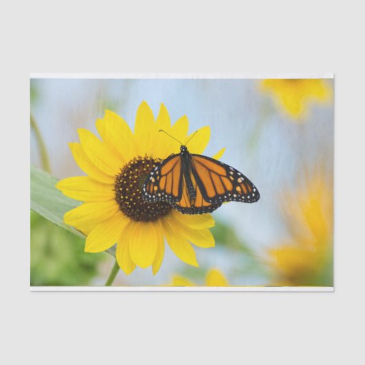 Monarch Butterfly en zonnebloemen Tissuepapier (Voorkant)