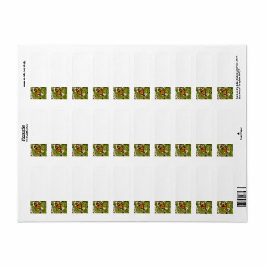 Monarch Butterfly Etiket (Full Sheet)