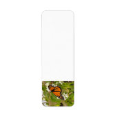 Monarch Butterfly Etiket (Voorkant)