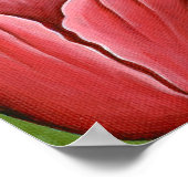 Monarch Butterfly Fairy Cat Fantasy Art Poster (Hoek)