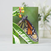 Monarch Butterfly Flat Hartelijk dank Bedankkaart (Staand voorkant)