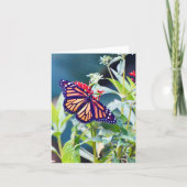 Monarch Butterfly Folded Note Card Notitiekaartje (Voorkant)