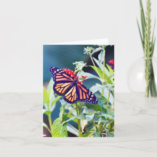 Monarch Butterfly Folded Note Card Notitiekaartje (Voorkant)