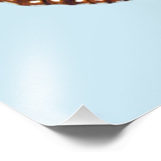 Monarch Butterfly Foto Afdruk (Hoek)