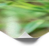 Monarch Butterfly Foto Afdruk (Hoek)