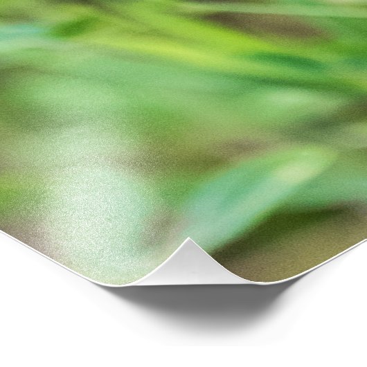 Monarch Butterfly Foto Afdruk (Hoek)