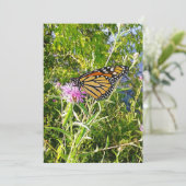 Monarch Butterfly Foto Kaart (Staand voorkant)