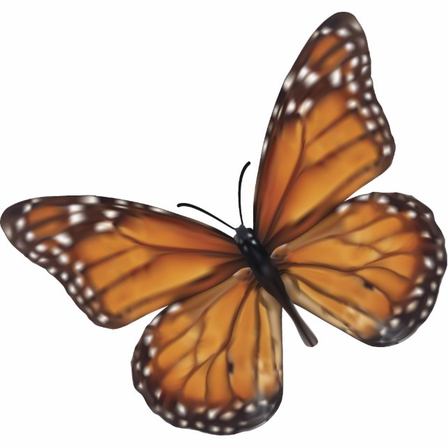 Monarch Butterfly Fotobeeldje Sleutelhanger (Voorkant)