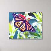 Monarch Butterfly Fotografie Muurdecoratie Canvas (Voorkant)