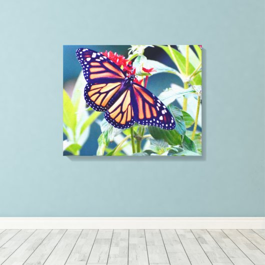 Monarch Butterfly Fotografie Muurdecoratie Canvas (Insitu (Houten vloer))