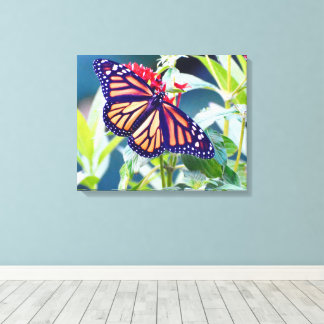 Monarch Butterfly Fotografie Muurdecoratie Canvas Afdruk