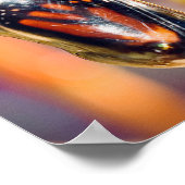 Monarch Butterfly Fotografie Muurdecoratie Print (Hoek)