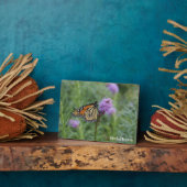 Monarch Butterfly Fotoplaat (Zijkant)