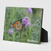 Monarch Butterfly Fotoplaat (Zijkant)