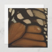 Monarch Butterfly gaat dicht Feestdagenkaart (Voorkant / Achterkant)