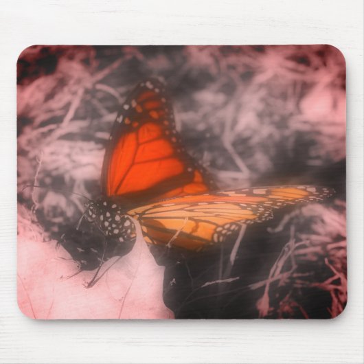 Monarch Butterfly gaat zwart en wit dicht Muismat (Voorkant)