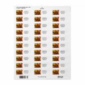 Monarch Butterfly Garden Waterverf Adres label (Full Sheet)