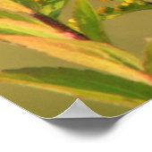 Monarch Butterfly Goldenrod Poster (Hoek)