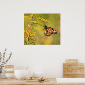 Monarch Butterfly Goldenrod Poster (Keuken)