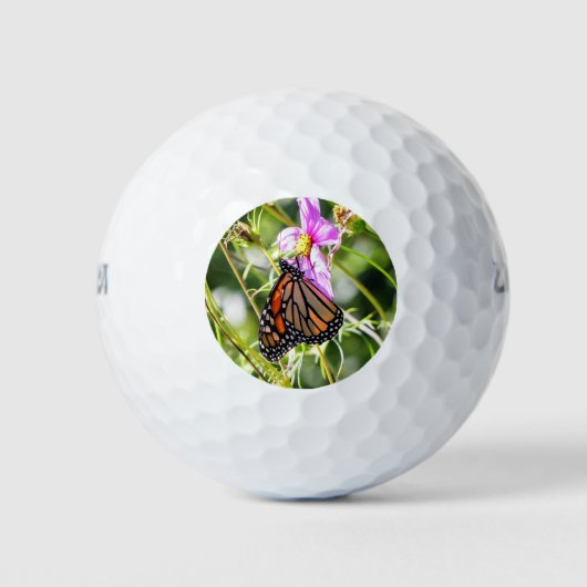 Monarch Butterfly Golfballen (Voorkant)