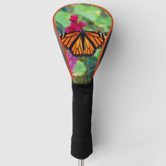 Monarch Butterfly Golfheadcover (Voorkant)