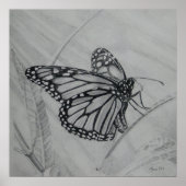 Monarch Butterfly grafiettekening Poster (Voorkant)