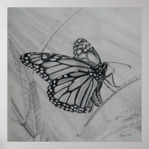 Monarch Butterfly grafiettekening Poster