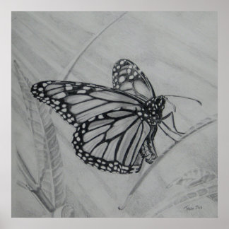Monarch Butterfly grafiettekening Poster