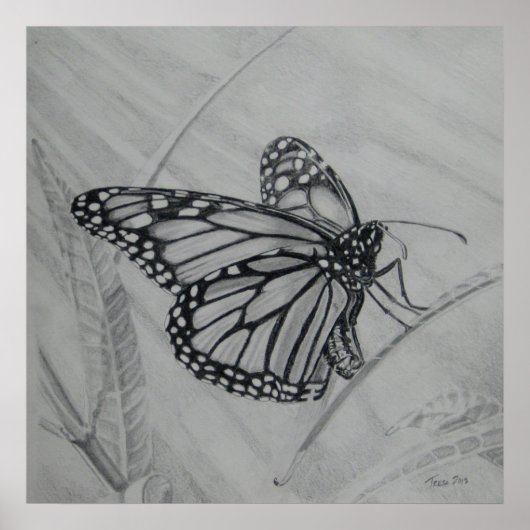 Monarch Butterfly grafiettekening Poster (Voorkant)