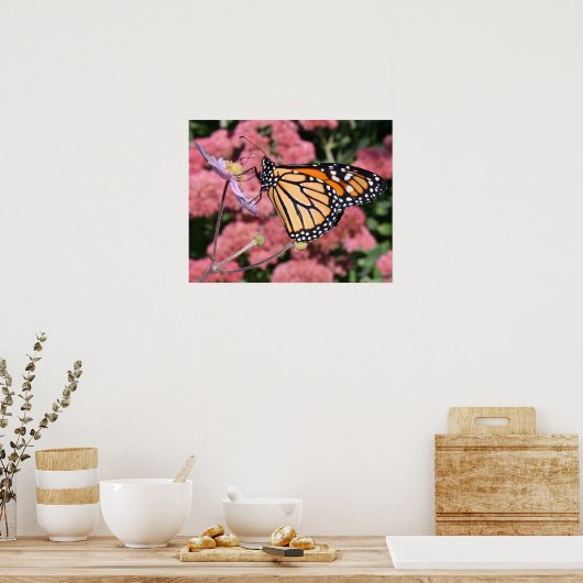 Monarch Butterfly I Poster (Keuken)