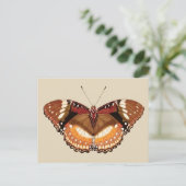 Monarch Butterfly in Brown, Rust and Cream Briefkaart (Staand voorkant)