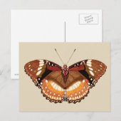 Monarch Butterfly in Brown, Rust and Cream Briefkaart (Voorkant / Achterkant)