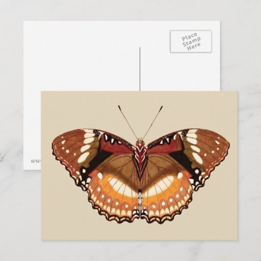 Monarch Butterfly in Brown, Rust and Cream Briefkaart (Voorkant / Achterkant)