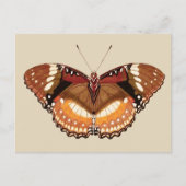 Monarch Butterfly in Brown, Rust and Cream Briefkaart (Voorkant)
