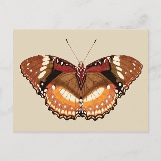 Monarch Butterfly in Brown, Rust and Cream Briefkaart (Voorkant)