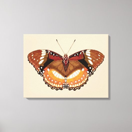 Monarch Butterfly in Brown, Rust and Cream Canvas Afdruk (Voorkant)