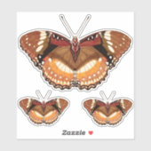 Monarch Butterfly in Brown, Rust and Cream Sticker (Vel)