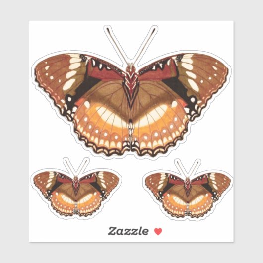 Monarch Butterfly in Brown, Rust and Cream Sticker (Vel)