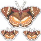 Monarch Butterfly in Brown, Rust and Cream Sticker (Voorkant)