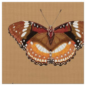 Monarch Butterfly in Brown, Rust and Cream Stof (Close Up)