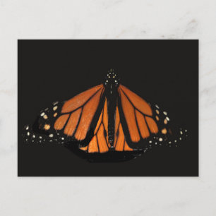 Monarch Butterfly in de sleutel van het Sinaasappe Briefkaart