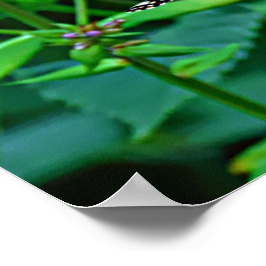 Monarch Butterfly in Flowers Poster (Hoek)
