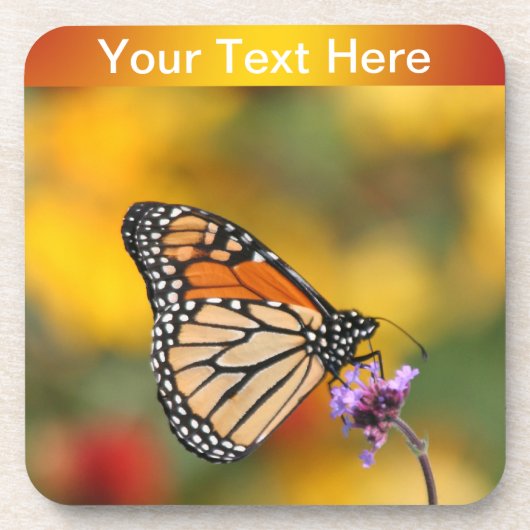Monarch Butterfly in Search of Pollen Drankjes Onderzetter (Voorkant)