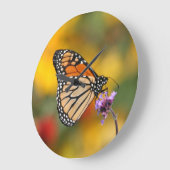 Monarch Butterfly in Search of Pollen Grote Klok (Hoek)