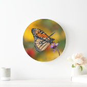 Monarch Butterfly in Search of Pollen Grote Klok (Huis)