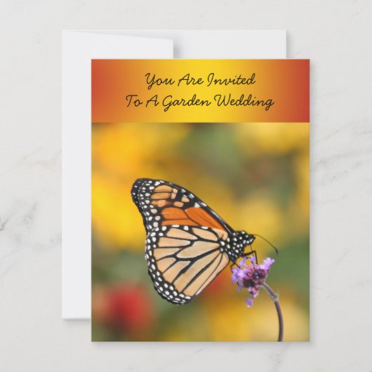 Monarch Butterfly in Search of Pollen Kaart (Voorkant)